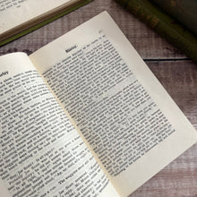 Load image into Gallery viewer, Shirley by Charlotte Bronte Rare Binding Illustrated Colour Plates Antique Book