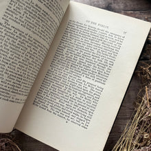 Load image into Gallery viewer, Adeline or The Romance of the Forest by Ann Radcliffe Rare Late Victorian Book