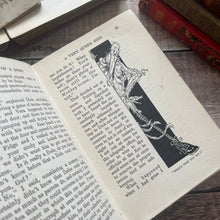 Load image into Gallery viewer, The Adventures of a Dodo by GE Farrow Illustrated by Willy Pogany Rare Antique Book