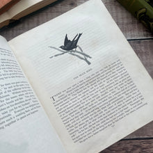 Load image into Gallery viewer, 1895 The Fairy Tales of Madame D'Aulnoy; Rare Book with Illustrations