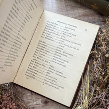 Load image into Gallery viewer, 1875 The Language and Poetry of Flowers Mid Victorian Book Beautiful Binding