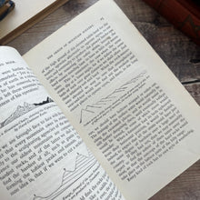 Load image into Gallery viewer, 1880 Mountain and Moor; Natural History Rambles Illustrated Victorian Book