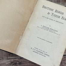 Load image into Gallery viewer, British Birds and Their Eggs by J Maclair Boraston; Early 20th Century Illustrated Book