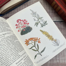 Load image into Gallery viewer, 1956 The Book of Garden Flowers by G.A.R. Phillips with Dust Jacket