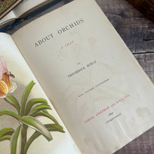 Load image into Gallery viewer, 1893 About Orchids A Chat by Frederick Boyle; Late Victorian Botany Book