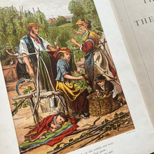 Load image into Gallery viewer, The Fields and The Woodlands Depicted by Painter and Poet; Victorian Book
