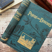 Load image into Gallery viewer, 1880 Ponds and Ditches; Natural History Rambles Illustrated Victorian Book