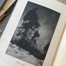 Load image into Gallery viewer, 1907 The Nature Poems of George Meredith; with Black and White Plates