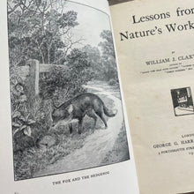 Load image into Gallery viewer, 1912 Nature's Workshop by William J Claxton; Illustrated Antique Book