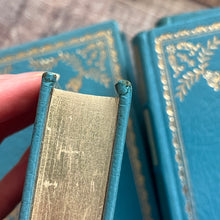 Load image into Gallery viewer, The Novels of Jane Austen Full Lambskin Luxury Binding 23ct Gold Beautiful Book Set