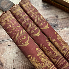 Load image into Gallery viewer, The Pageant of Nature Antique Illustrated Three Volume Collection
