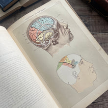 Load image into Gallery viewer, 1902 Household Physician by McGregor Robertson; Illustrated Medical Text