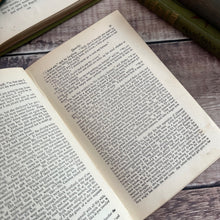 Load image into Gallery viewer, Queechy by Elizabeth Wetherell WORN Beautiful Antique Binding Late Victorian Book