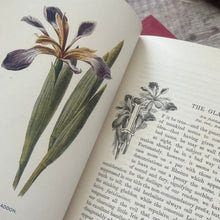 Load image into Gallery viewer, Familiar Wild Flowers Seven Volumes Bound as Four; Quarter Leather Illustrated Set