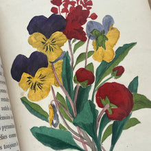Load image into Gallery viewer, 1858 Le Langage des Fleurs 19th Century Illustrated Book