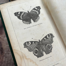 Load image into Gallery viewer, 1879 Half Hours in the Green Lanes by J.E.Taylor; Victorian Nature Book