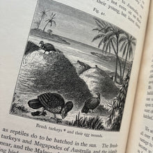Load image into Gallery viewer, 1909 Winners in Life's Race by Arabella Buckley Illustrated Antique Book