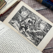 Load image into Gallery viewer, 1878 Rise and Fall of the Mustache and Other Hawkeyetems; Victorian Book