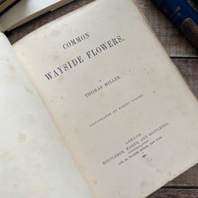Load image into Gallery viewer, 1860 Common Wayside Flowers Illustrated by Birket Foster FIRST EDITION