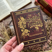 Load image into Gallery viewer, The Language and Poetry Of Flowers Antique Collectable Late Victorian Book Colour Plates