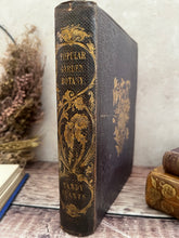 Load image into Gallery viewer, 1855 Popular Garden Botany by Agnes Catlow; First Edition with Hand Coloured Plates
