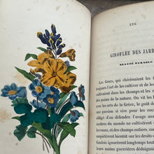 Load image into Gallery viewer, 1858 Le Langage des Fleurs 19th Century Illustrated Book