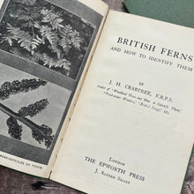 Load image into Gallery viewer, Two Volumes of Small Vintage Nature Books...British Fungi and Ferns