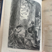 Load image into Gallery viewer, The Wild Flowers, Birds, Insects of The Months; 19th Century Illustrated Book