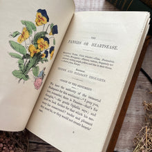 Load image into Gallery viewer, Rare Flowers Their Use and Beauty Language and Sentiment Victorian Illustrated Book