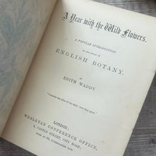 Load image into Gallery viewer, A Year with the Wild Flowers by Edith Waddy; Victorian Illustrated Botany Book