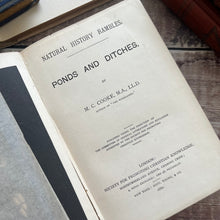 Load image into Gallery viewer, 1880 Ponds and Ditches; Natural History Rambles Illustrated Victorian Book