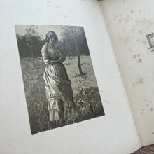Load image into Gallery viewer, Through the Year; Spring, Summer, Autumn and Winter; Beautiful Illustrated Book
