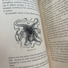 Load image into Gallery viewer, Half Hours With a Naturalist Rambles Near the Shore; Antique Natural History Book