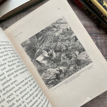 Load image into Gallery viewer, 1887 Sylvan Spring by Francis George Heath; Illustrated with Colour Plates (e)