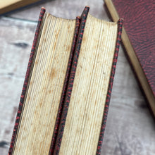 Load image into Gallery viewer, Set of Shown to the Children Series Antique Books