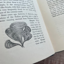 Load image into Gallery viewer, The Fresh and Saltwater Aquarium by Rev J G Wood Victorian Book with Plates