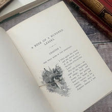 Load image into Gallery viewer, 1893 A Rose of a Hundred Leaves by Amelia E Barr Beautiful Floral Binding