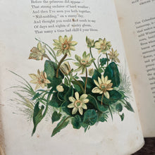 Load image into Gallery viewer, 1860 Common Wayside Flowers Illustrated by Birket Foster FIRST EDITION