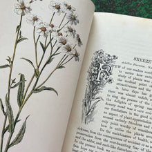 Load image into Gallery viewer, 1910 Familiar Wild Flowers; Three Individual Volumes, Half Calf with Marbled Edges
