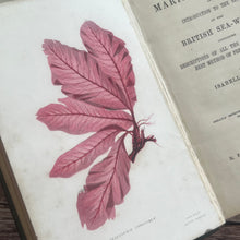 Load image into Gallery viewer, 1853 The Marine Botanist; An Introduction to the Study of British Seaweeds Illustrated