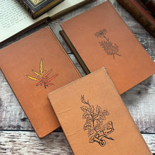 Load image into Gallery viewer, Antique Book Stack with Three Beautiful Floral Bindings