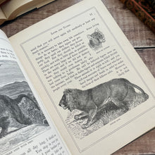 Load image into Gallery viewer, Victorian Book of Field Friends and Forest Foes; Illustrated 19th Century Book