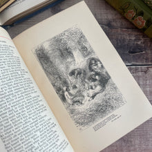 Load image into Gallery viewer, 1890 The Poetical Works of William Cowper; Illustrated Victorian Book