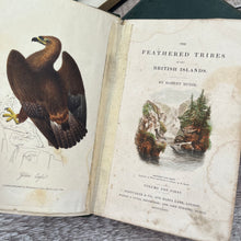 Load image into Gallery viewer, 1834 The Feathered Tribes of the British Isles by Robert Mudie Hand Coloured Illustrations