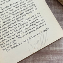 Load image into Gallery viewer, 1912 British Land Mammals by A Nicol Simpson; Peeps at Nature Series First Edition