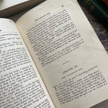 Load image into Gallery viewer, Little Women by Louisa May Alcott; Rare Lily Series Book in Beautiful Floral Binding