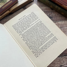 Load image into Gallery viewer, 1920 Snowdrop and Other Tales by The Brothers Grimm Illustrated by Arthur Rackham