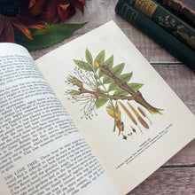 Load image into Gallery viewer, 1946 Nature in Britain With Dust Jacket Hardback Vintage Book Illustrated