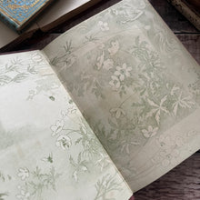 Load image into Gallery viewer, 1908 The Queen Bee and Other Nature Tales Translated from the Danish of Carl Ewald