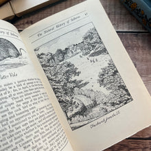 Load image into Gallery viewer, 1898 The Natural History of Selbourne; Half Calf Leather Binding Illustrated Book